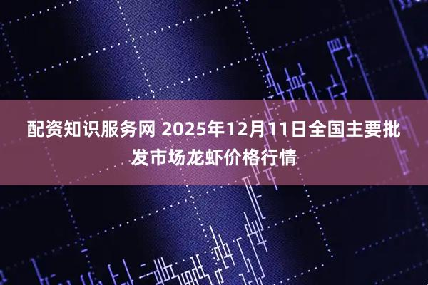 配资知识服务网 2025年12月11日全国主要批发市场龙虾价格行情