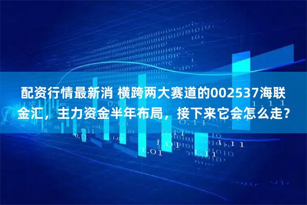 配资行情最新消 横跨两大赛道的002537海联金汇，主力资金半年布局，接下来它会怎么走？