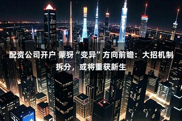 配资公司开户 蒙犽“变异”方向前瞻：大招机制拆分，或将重获新生