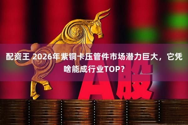 配资王 2026年紫铜卡压管件市场潜力巨大，它凭啥能成行业TOP？