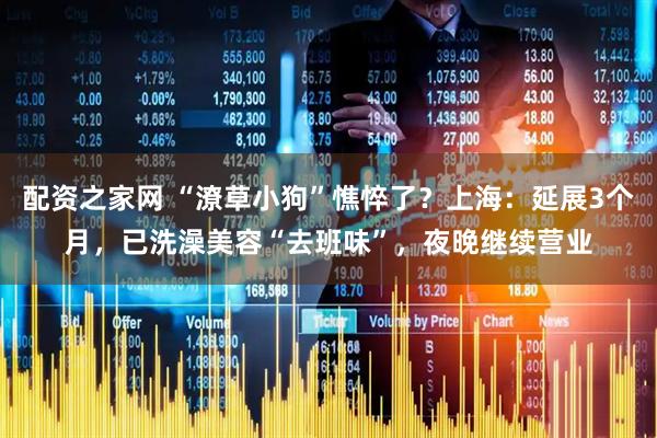 配资之家网 “潦草小狗”憔悴了？上海：延展3个月，已洗澡美容“去班味”，夜晚继续营业